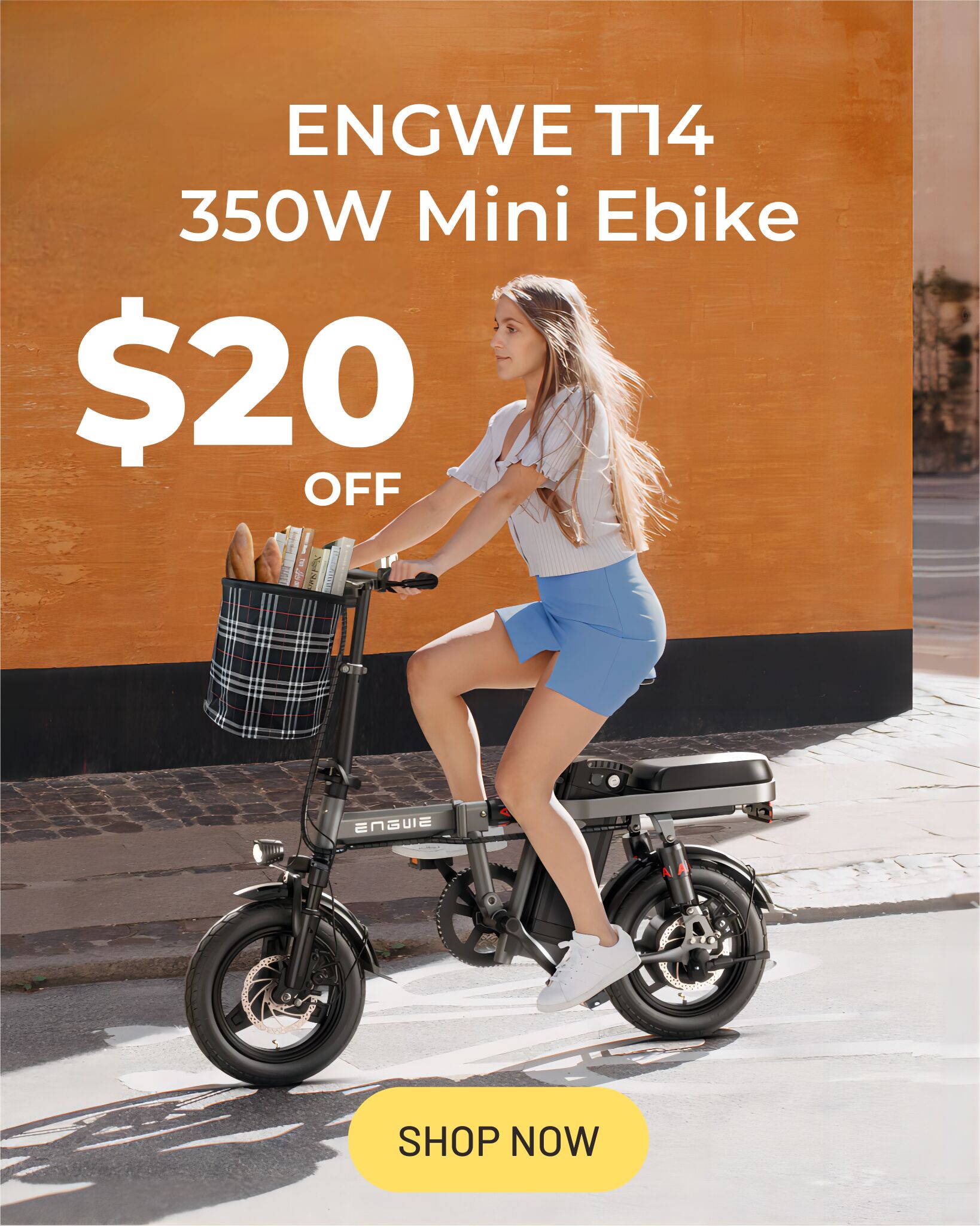 ENGWE-T14-Ebike